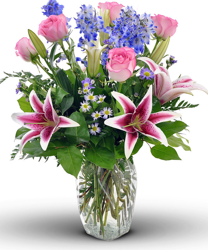 Roses flowers